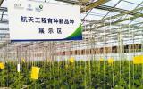 借助“长征”东风，拓开航天育种新局面