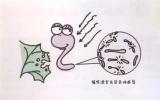 公众科普 | 辐照技术如何阻止害虫繁殖？