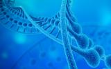Fusion Pharmaceuticals宣布临床计划和生产进展