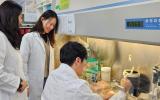 韩国原子能研究院开发出环保型微生物菌株去除难分解污染物