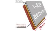 俄罗斯年轻科学家团队研发新型像素探测器PixelVision 推动“彩色”X射线技术革新